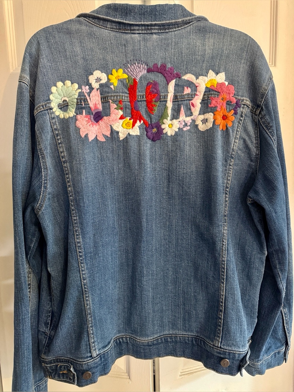 Pilcro & the Letterpress Anthropologie Embroidered Floral Denim Jacket Size XL